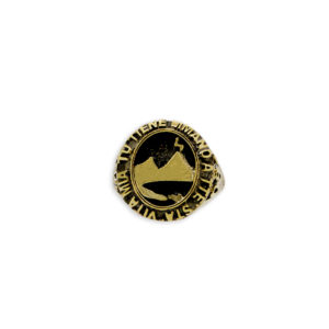 Anello Vesuvio bronzo e argento 925