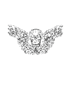mattana design icona teschio