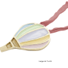 Pendente Mongolfiera Smaltata in Bronzo - immagine 4
